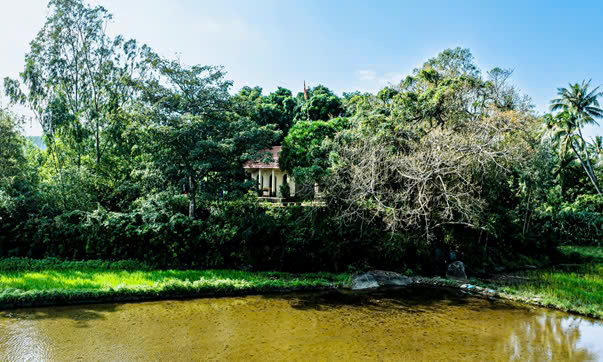 Quang cảnh miếu Tiền hiền